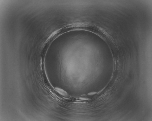 X0000050741213200506161518