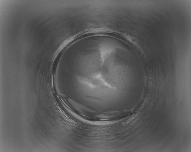 X0000050741221200506161518