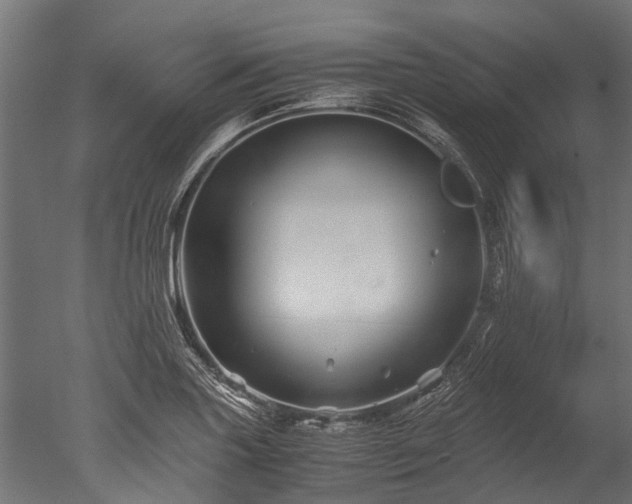 X0000050741227200506161518