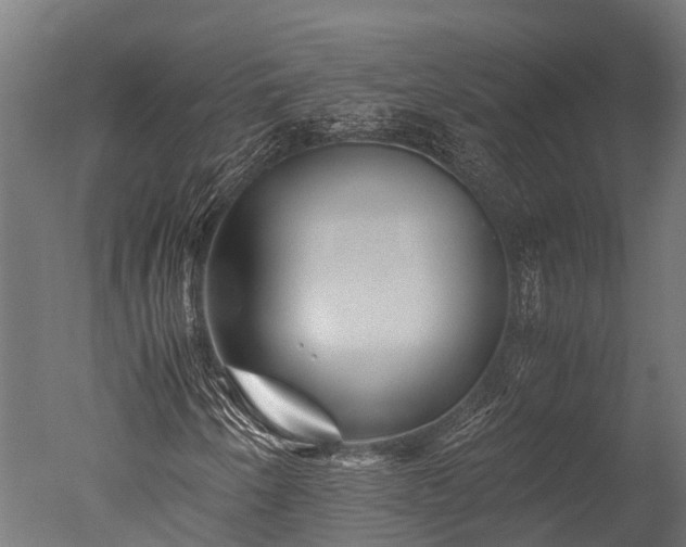 X0000050741250200506161518