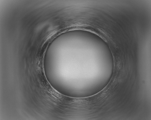 X0000050741258200506161518