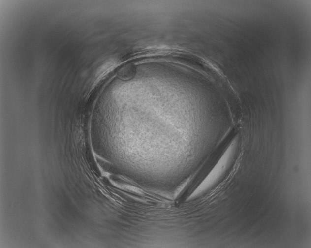 X0000050741259200506161518