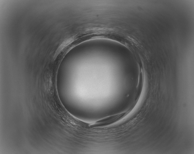 X0000050741261200506161518