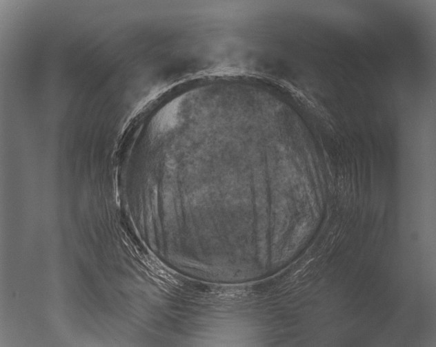 X0000050741262200506161518