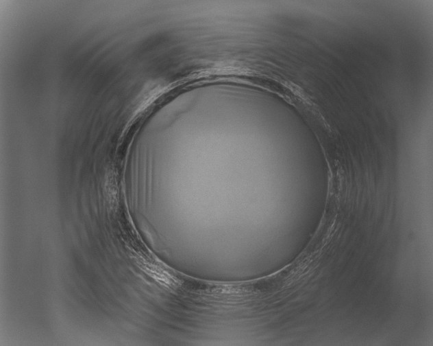 X0000050741266200506161518
