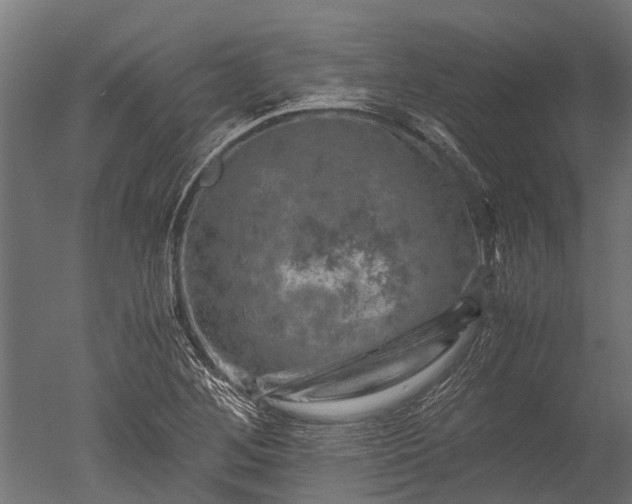 X0000050741268200506161517