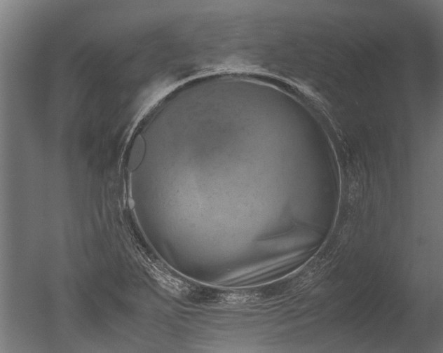 X0000050741271200506161517