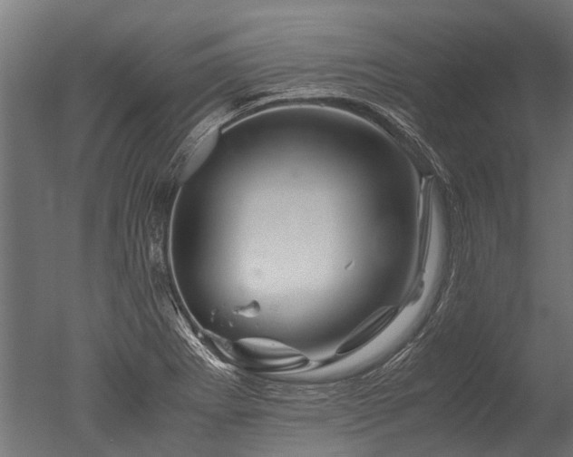 X0000050741273200506161517