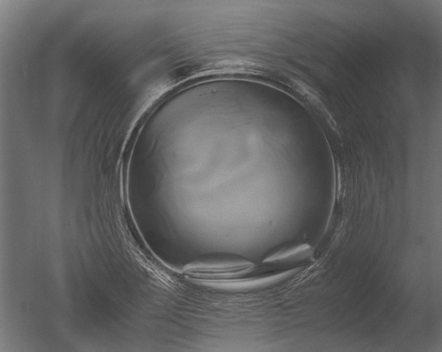X0000050741275200506161517