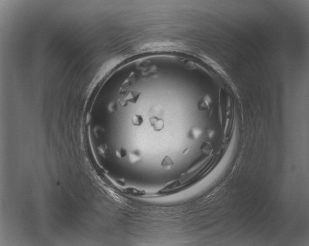 X0000050741277200506161517
