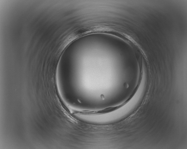 X0000050741281200506161517