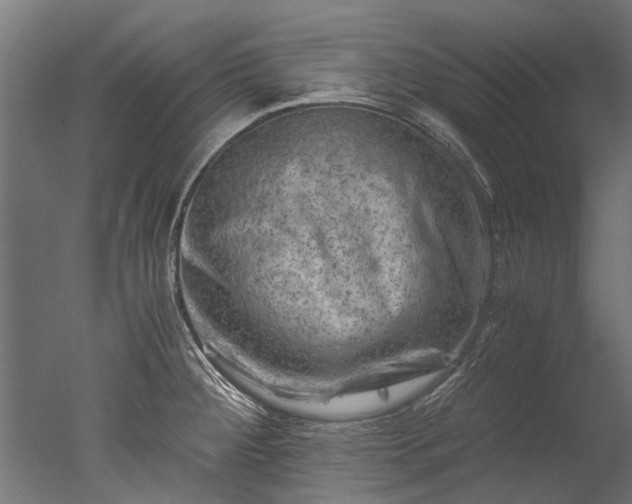 X0000050741284200506161517