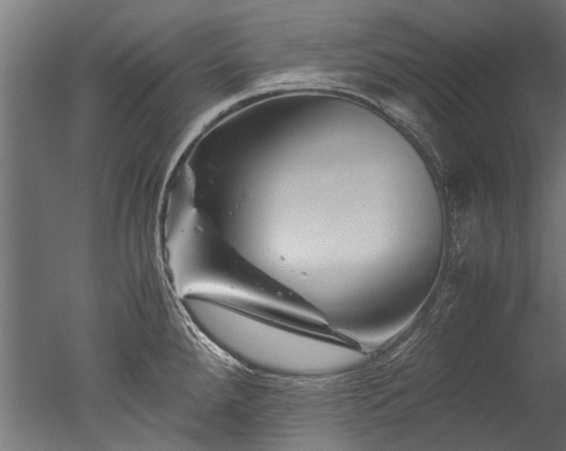 X0000050741288200506161517