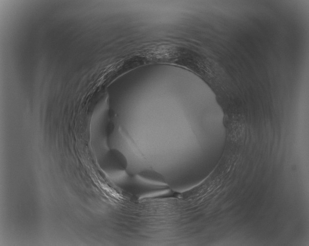 X0000050741297200506161516