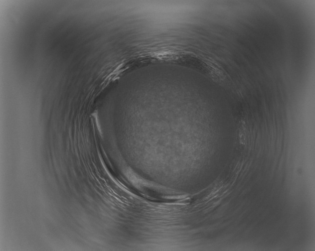 X0000050741298200506161516