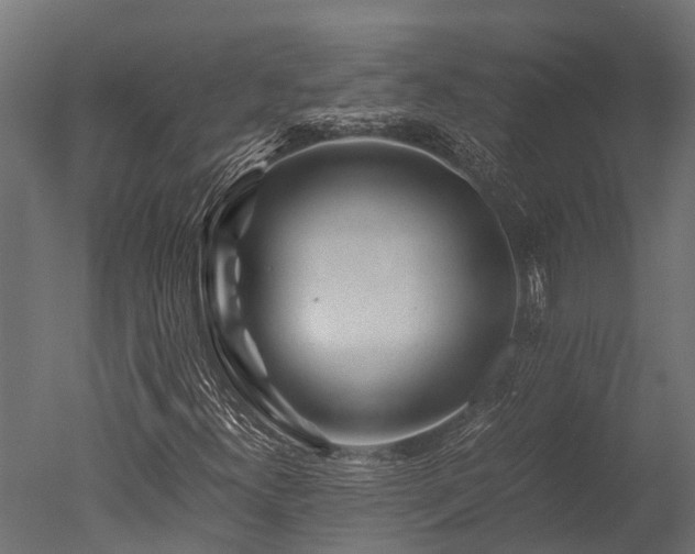 X0000050741300200506161516