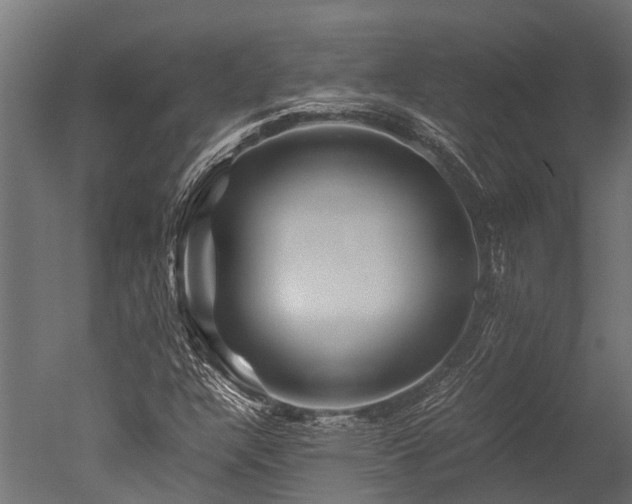 X0000050741304200506161516