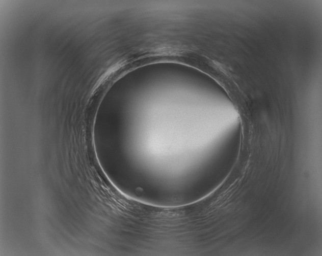 X0000050741307200506161516