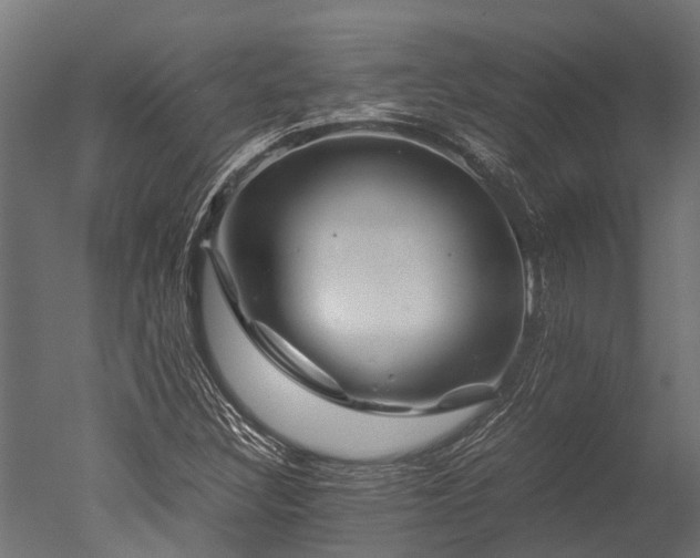 X0000050741308200506161516