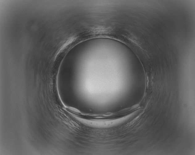 X0000050741309200506161516