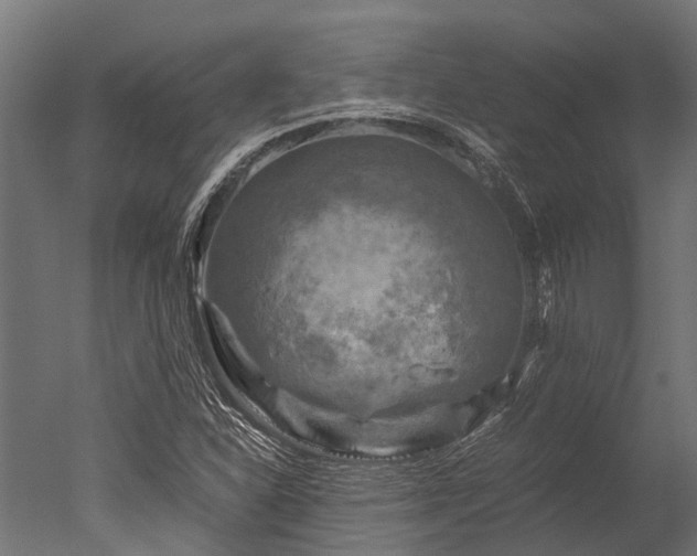 X0000050741310200506161516