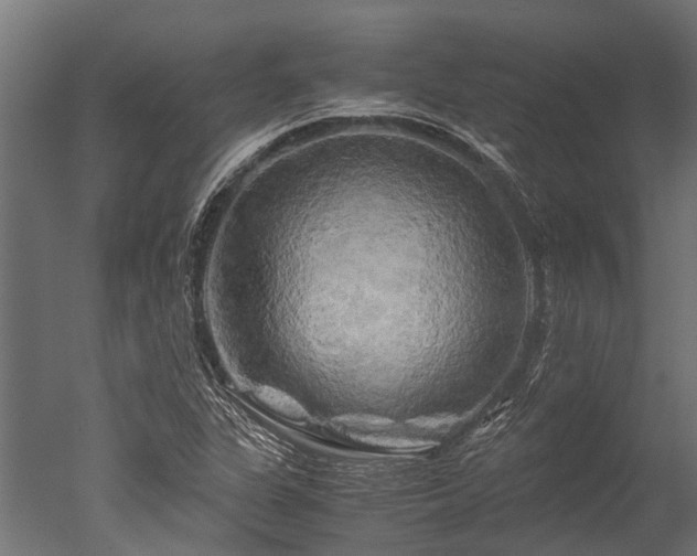 X0000050741311200506161516
