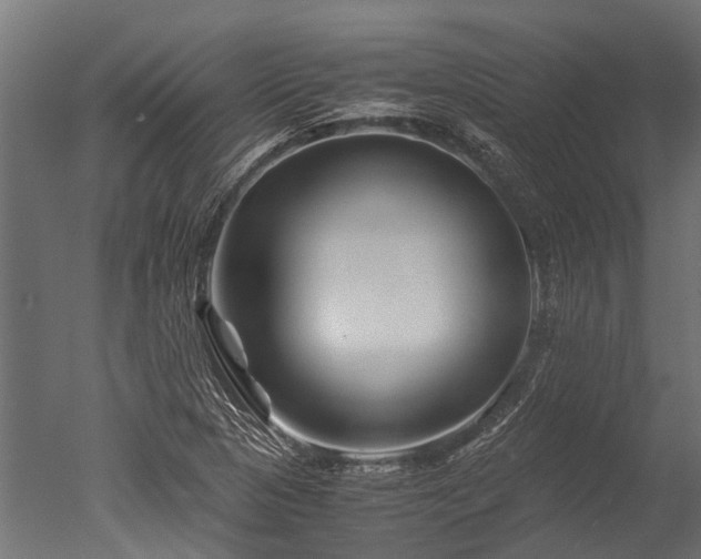 X0000050741313200506161516