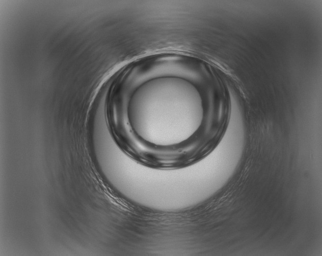 X0000050741316200506161516