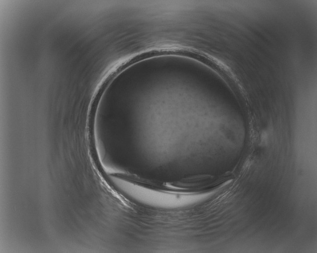 X0000050741327200506161517