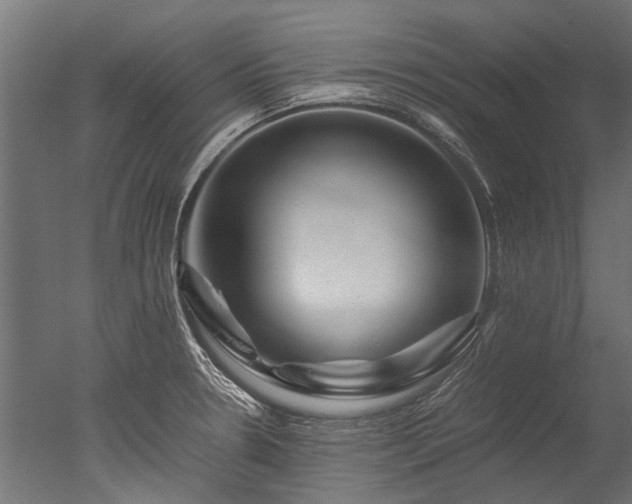 X0000050741330200506161517