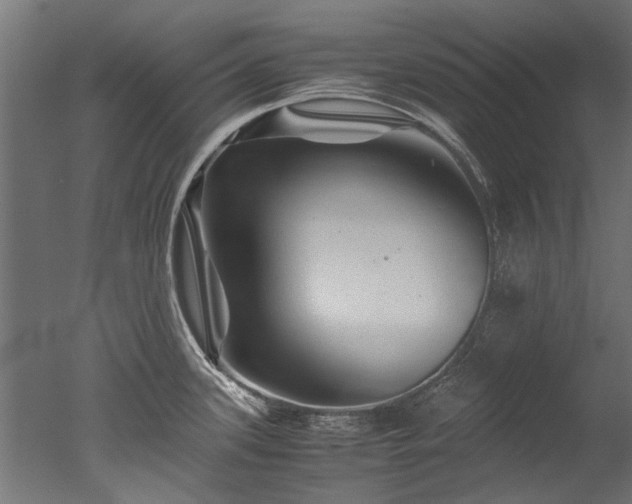 X0000050741339200506161517