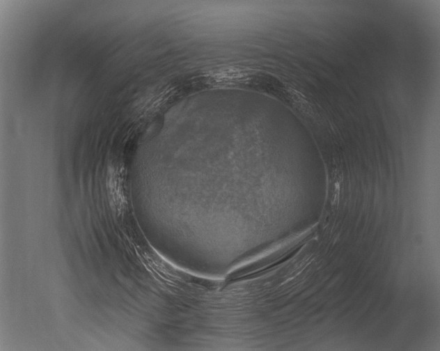 X0000050741346200506161516