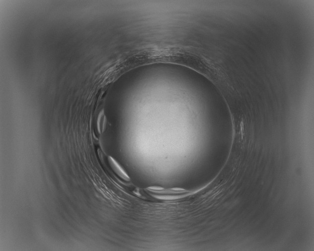 X0000050741348200506161516