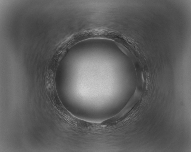 X0000050741349200506161516
