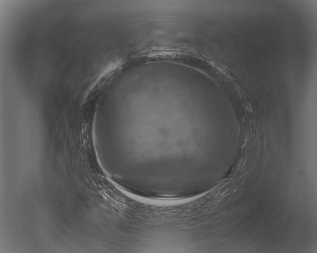 X0000050741351200506161516
