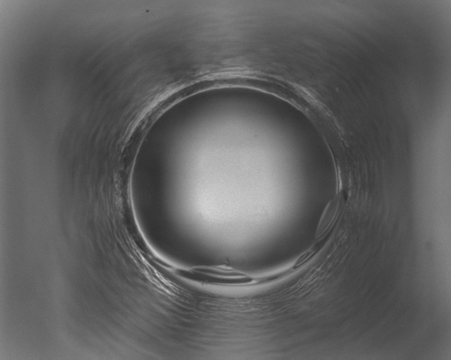 X0000050741356200506161516