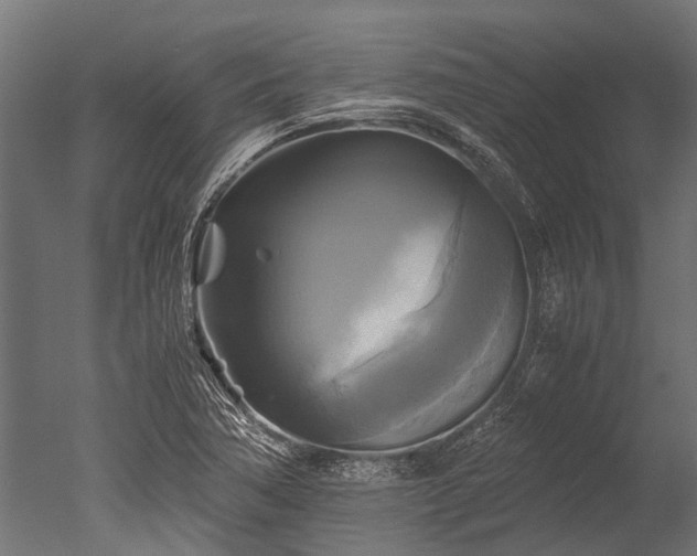 X0000050741362200506161516