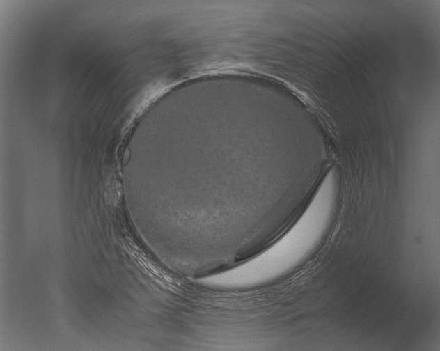X0000050741363200506161516