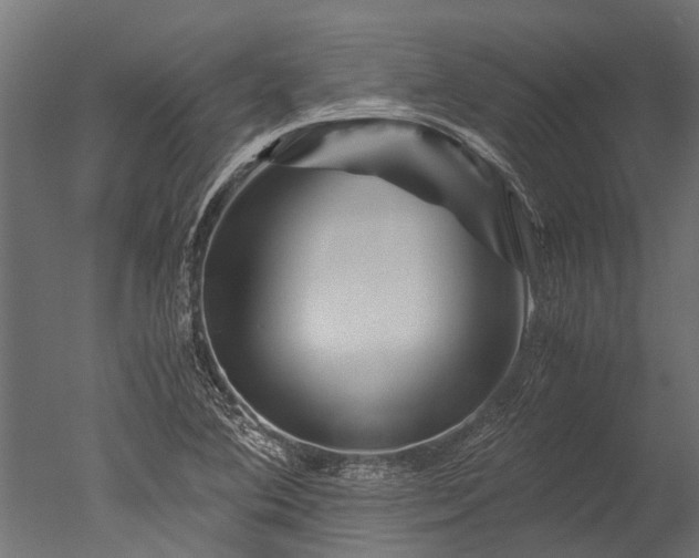 X0000050741364200506161516