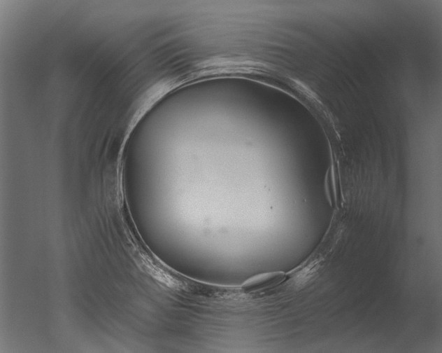 X0000050741370200506161516