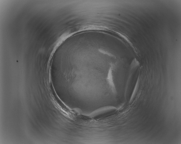 X0000050741371200506161516