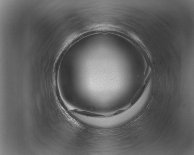 X0000050741376200506161516