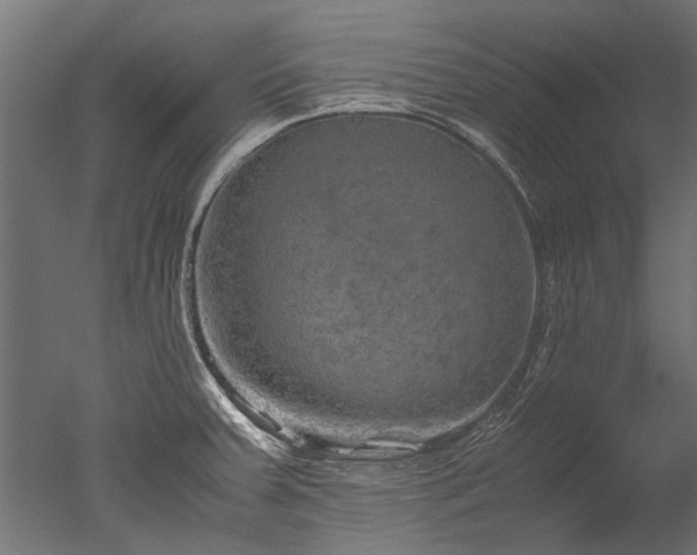 X0000050741379200506161516