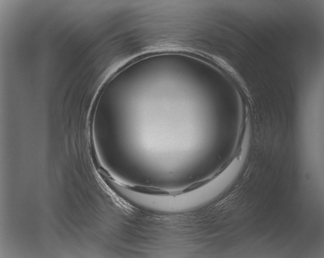 X0000050741380200506161516