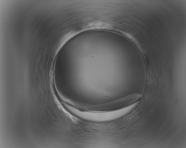 X0000050741383200506161515