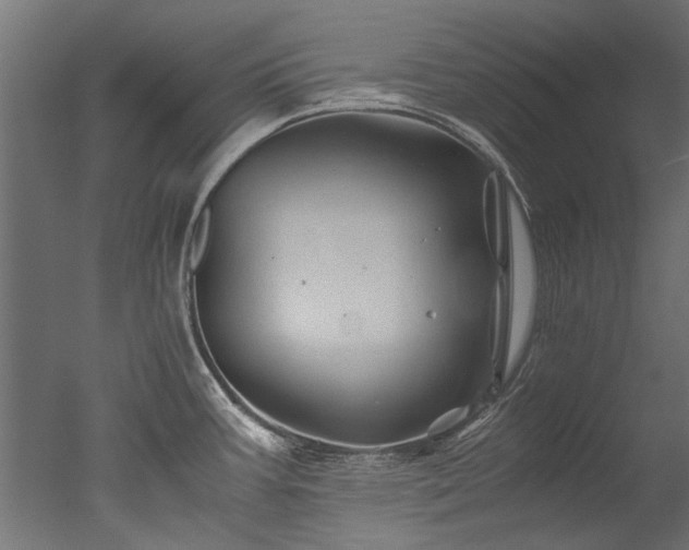 X0000050741387200506161515