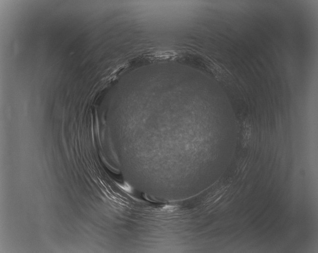 X0000050741394200506161515