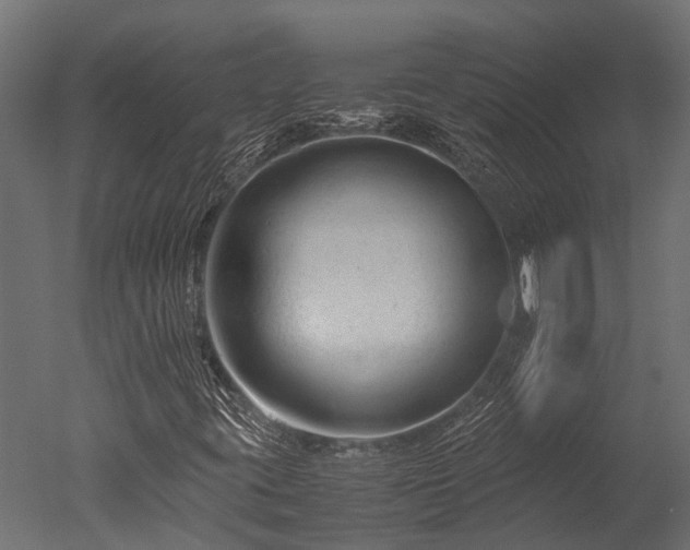 X0000050741395200506161515