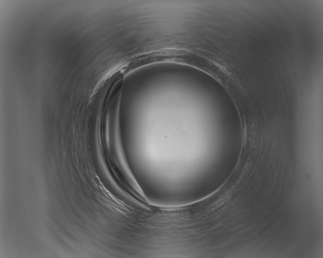 X0000050741402200506161515