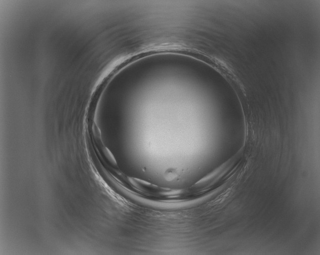 X0000050741422200506161515